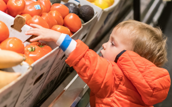 Enfant qui choisit un légume à l’épicerie Enfant qui choisit un légume à l’épicerie