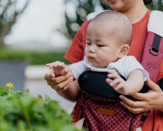 Bébé porté dans un porte-bébé face au monde