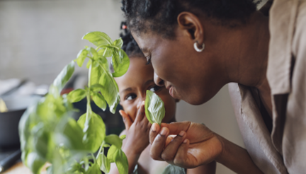 Mère qui fait sentir du basilic à son enfant Mère qui fait sentir du basilic à son enfant