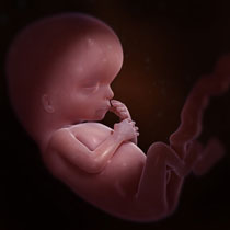 Une image contenant personne, intérieur, bébé
Description générée automatiquement Une image contenant personne, intérieur, bébé
Description générée automatiquement