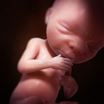 Une image contenant personne, intérieur, bébé
Description générée automatiquement Une image contenant personne, intérieur, bébé
Description générée automatiquement
