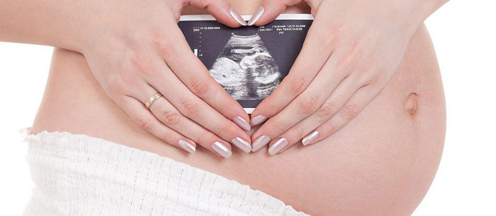 Développement  du foetus: 2e trimestre