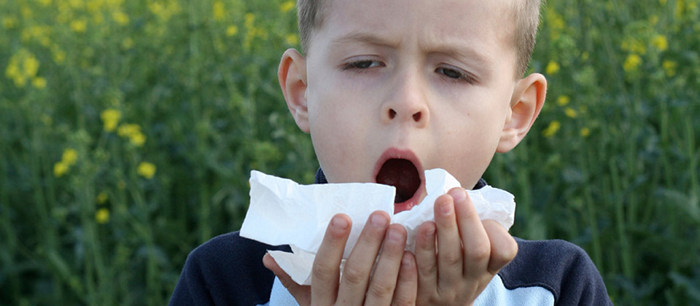 Les allergies respiratoires