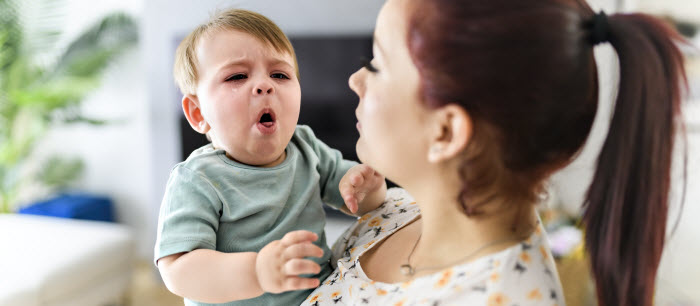 Le virus respiratoire syncytial (VRS)