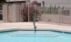 En manchettes: Piscine et noyade – Droitier ou gaucher? – Quartier violent – Ressources