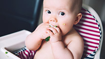 Bébé peut manger «avec pas de dents»