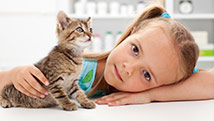 Avoir un animal de compagnie