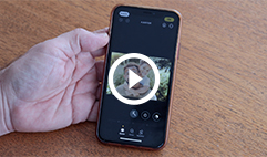 Cacher le visage d'un enfant sur iPhone