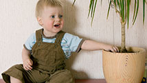 L'enfant qui touche à tout