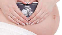 Développement  du foetus: 2e trimestre