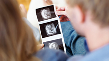 Développement de l'embryon et du foetus: 1er trimestre