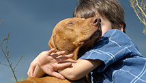 L'enfant et la mort d'un animal domestique