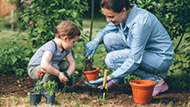 Un plan parfait de parent